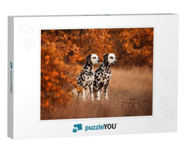 Two Dalmatian Dogs on a Walk... Jigsaw Puzzle