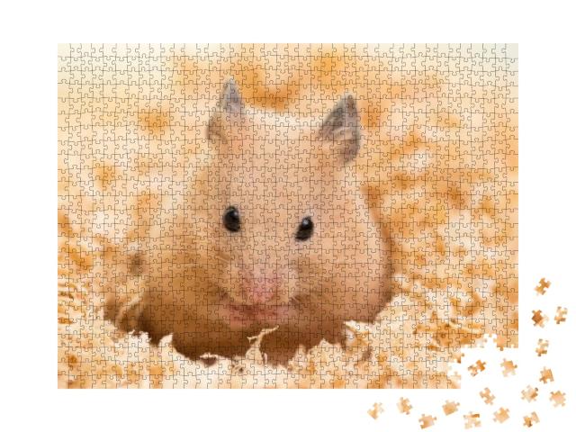 Golden Hamster on Wooden Chips... Jigsaw Puzzle with 1000 pieces