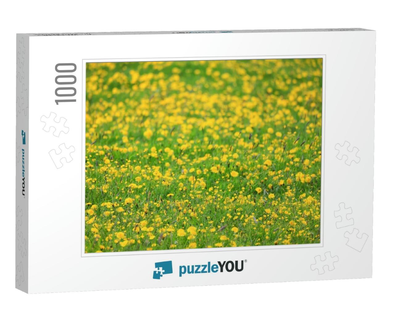 Yellow Dandelion Field Background, Abstract Panorama Yell... Jigsaw Puzzle with 1000 pieces