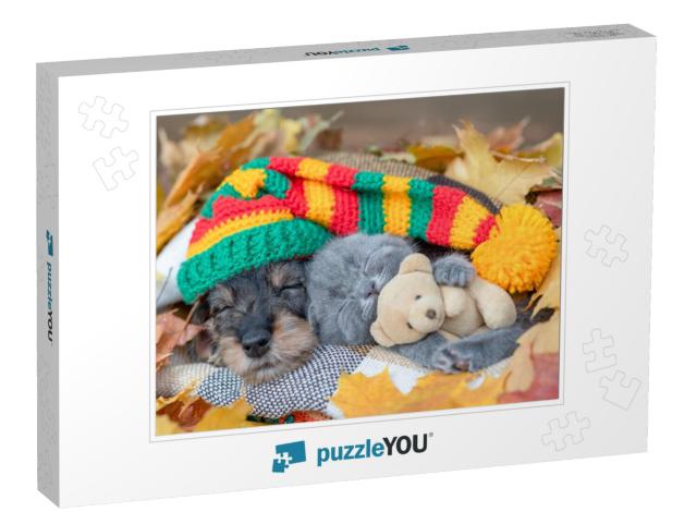 Dachshund Puppy Wearing Warm Hat & Kitten Hugging Toy Bea... Jigsaw Puzzle