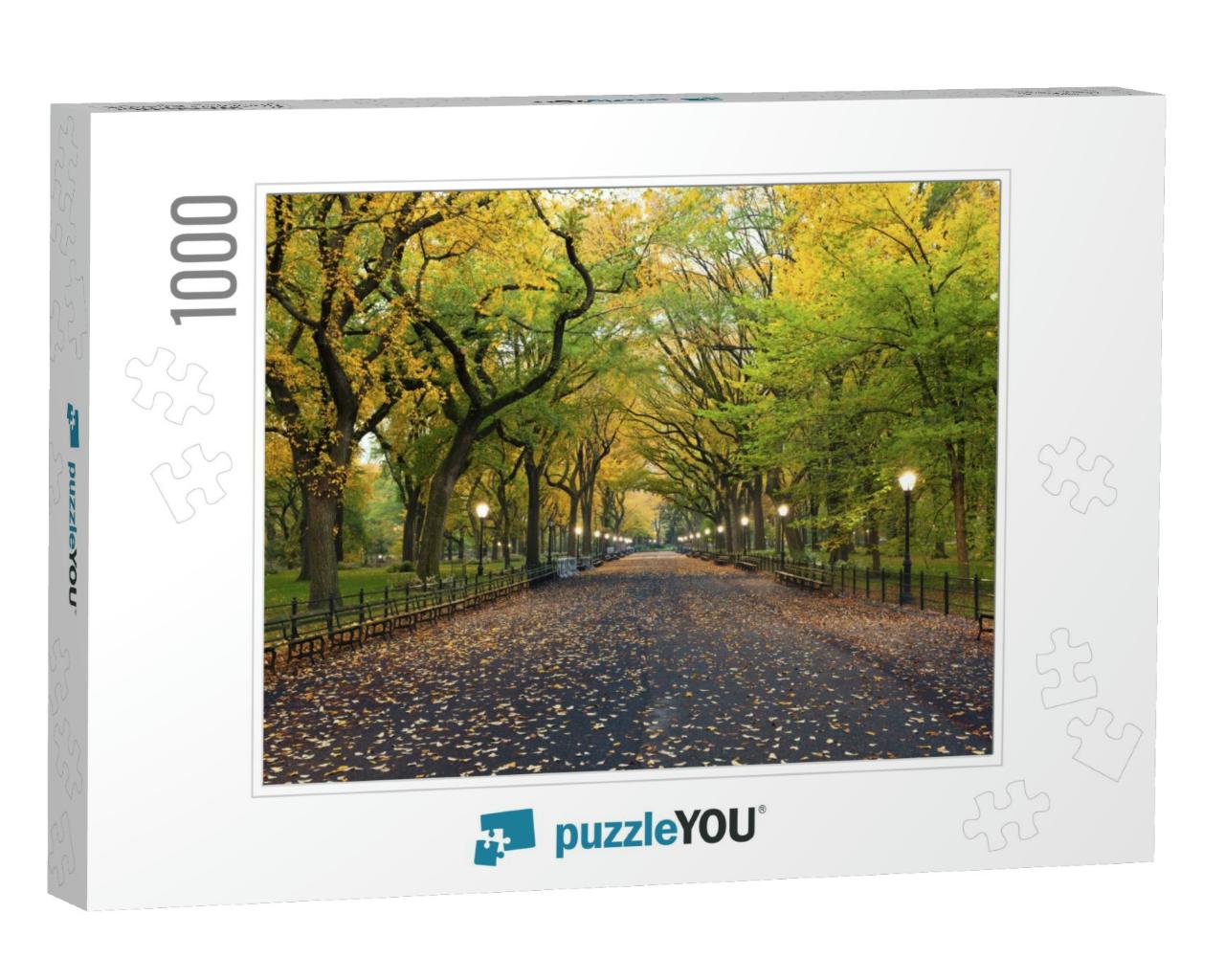 Central Park. Image of the Mall Area in Central Park, New... Jigsaw Puzzle with 1000 pieces