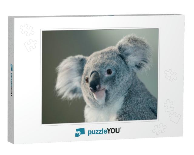 Koala Phascolarctos Cinereus, Portrait of Female... Jigsaw Puzzle