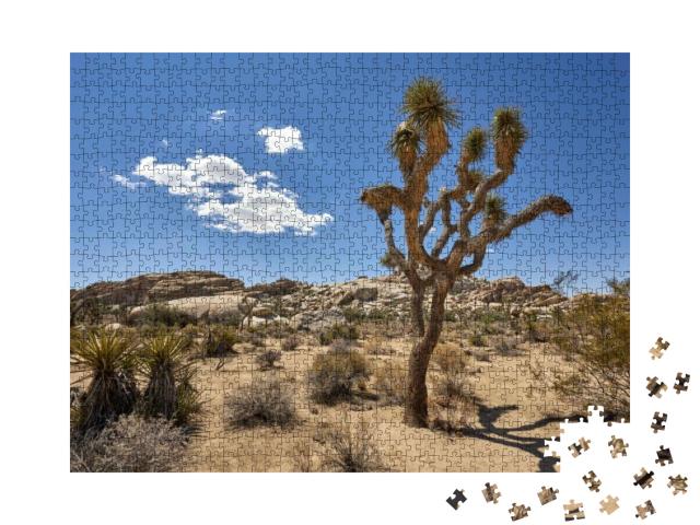 Joshua Tree National Park, California, Usa... Jigsaw Puzzle with 1000 pieces