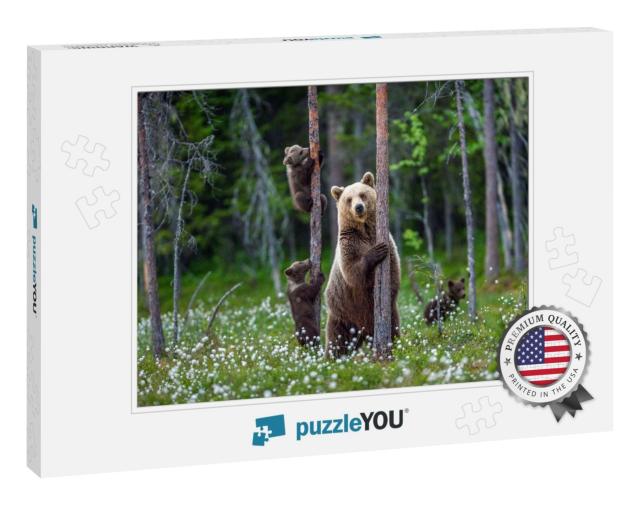 She-Bear & Bear Cubs in the Summer Forest on the Bog Amon... Jigsaw Puzzle