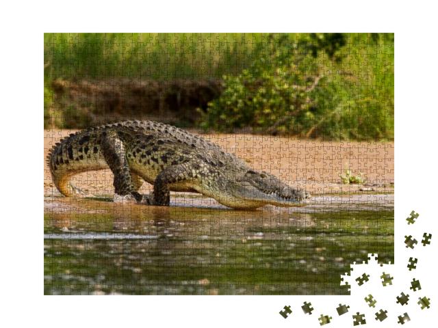 A Nile Crocodile, the Bigger Predator of the Nile River... Jigsaw Puzzle with 1000 pieces