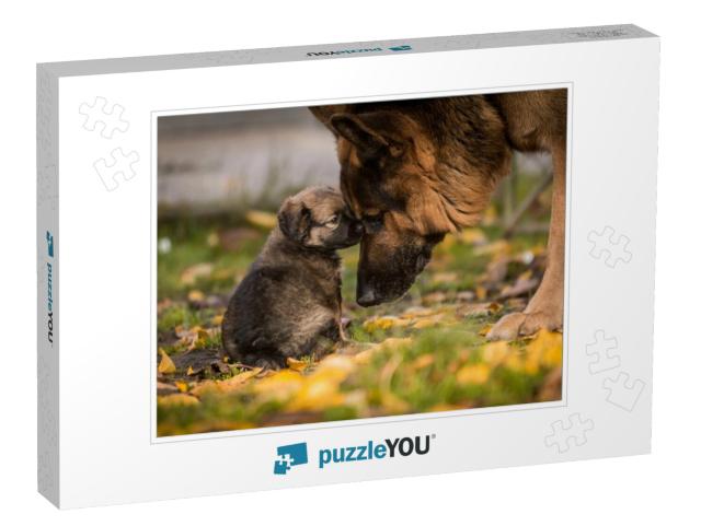 Love Between Puppy & German Shepherd... Jigsaw Puzzle