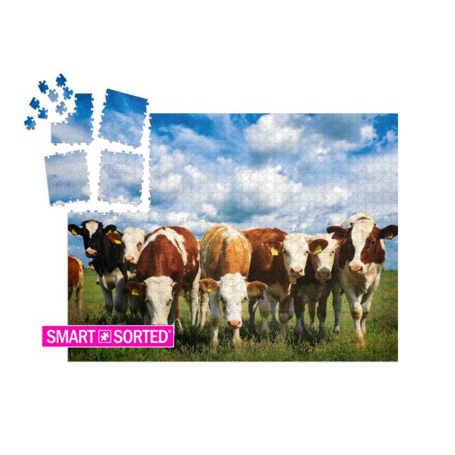 Cows on a Green Summer Meadow... | SMART SORTED® | Jigsaw Puzzle with 1000 pieces