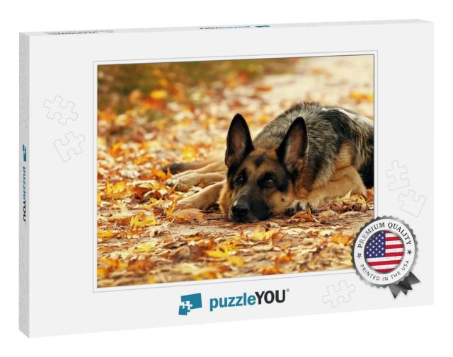 Dog, German Shepherd Lies in the Autumn Wood Against Beau... Jigsaw Puzzle
