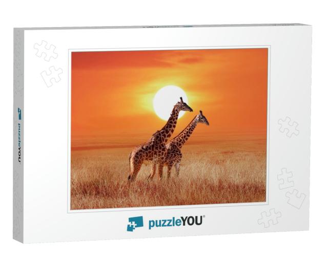 Giraffe in the African Savanna Against the Backdrop of Be... Jigsaw Puzzle