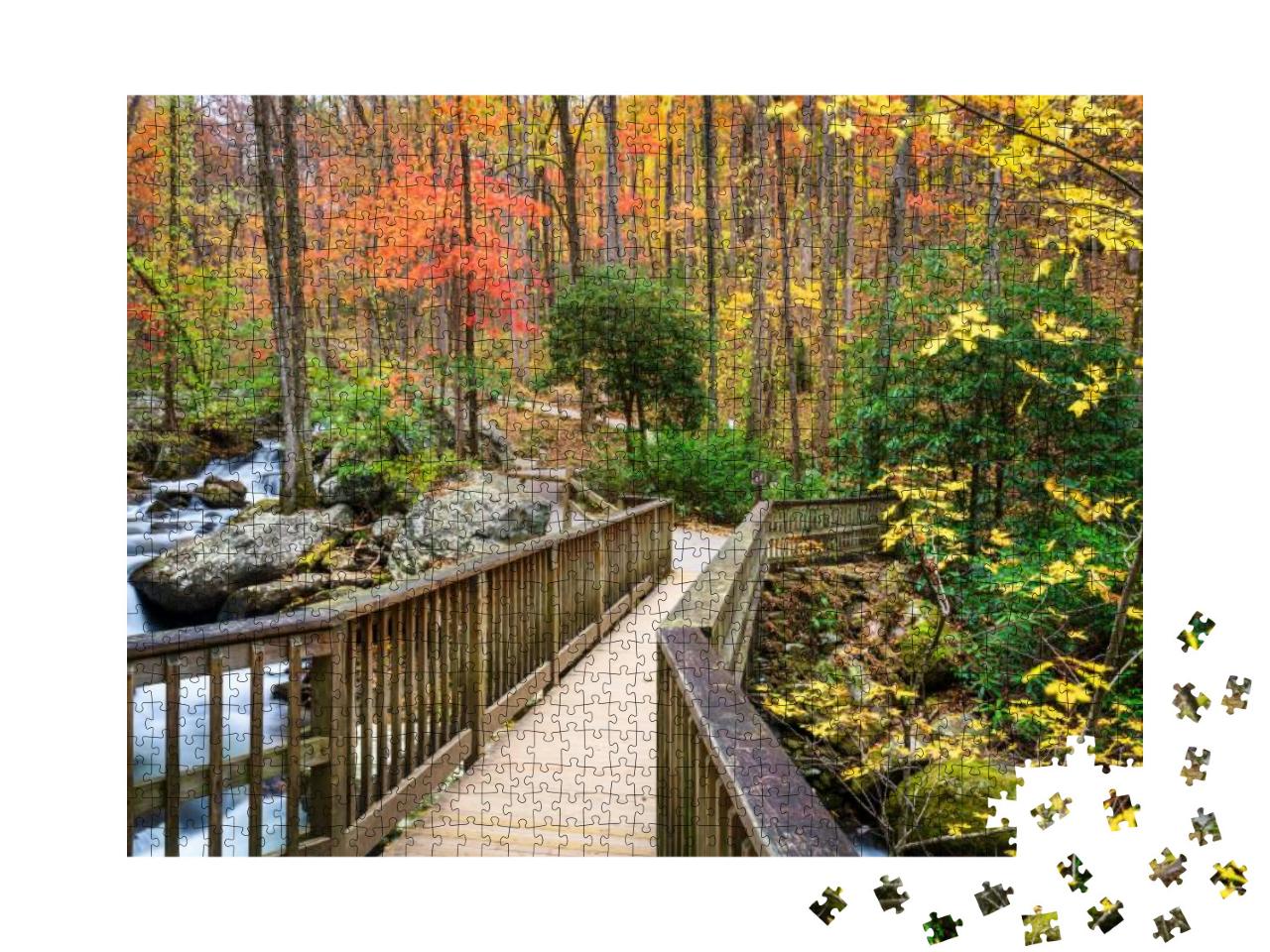Bridge to Anna Ruby Falls, Georgia, USA in Autumn... Jigsaw Puzzle with 1000 pieces