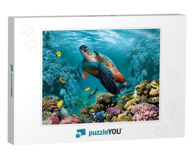 Image for 3D Floor. Underwater World. Turtle. Corals... Jigsaw Puzzle
