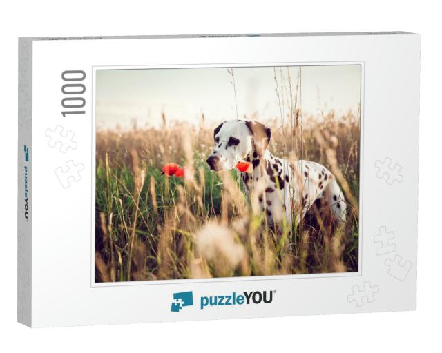 Cute Dalmatian Dog in a Cornfield... Jigsaw Puzzle with 1000 pieces