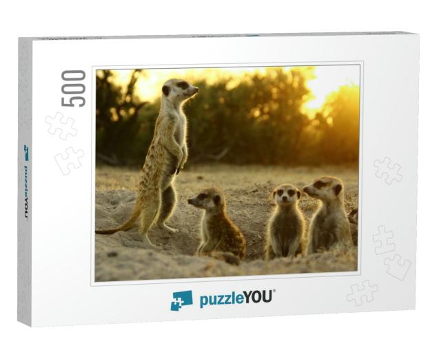 Meerkat the Most Funny Animal. Namibia Wild Life... Jigsaw Puzzle with 500 pieces