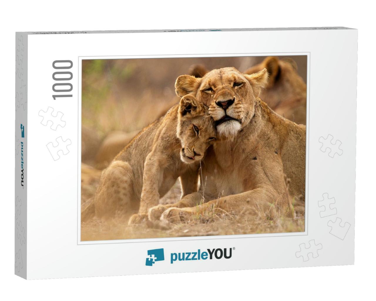 Predator's Love. Lioness & Cub in the Kruger Np, South Af... Jigsaw Puzzle with 1000 pieces