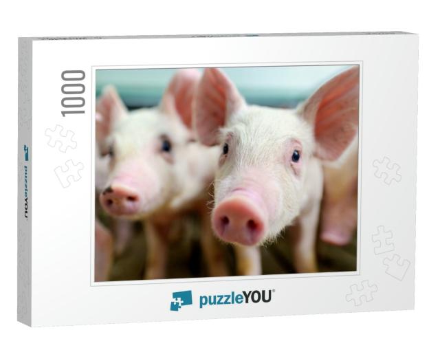 Pig Farm Industry Farming Hog Barn Pork... Jigsaw Puzzle with 1000 pieces
