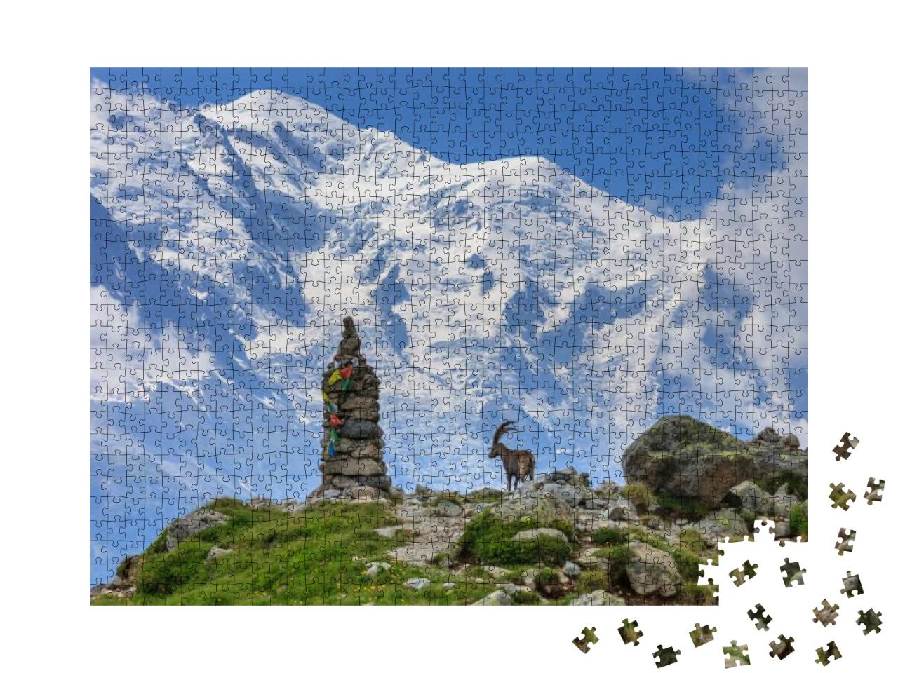 Alpine Ibex Capra Ibex. in Background Mont Blanc, France... Jigsaw Puzzle with 1000 pieces
