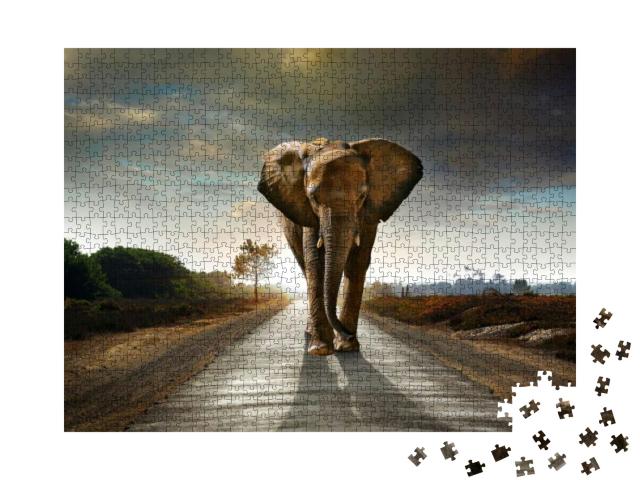 Single Elephant Walking in a Road with the Sun from Behin... Jigsaw Puzzle with 1000 pieces