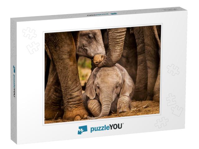 Baby African Elephant Under the Protection of the Adults... Jigsaw Puzzle