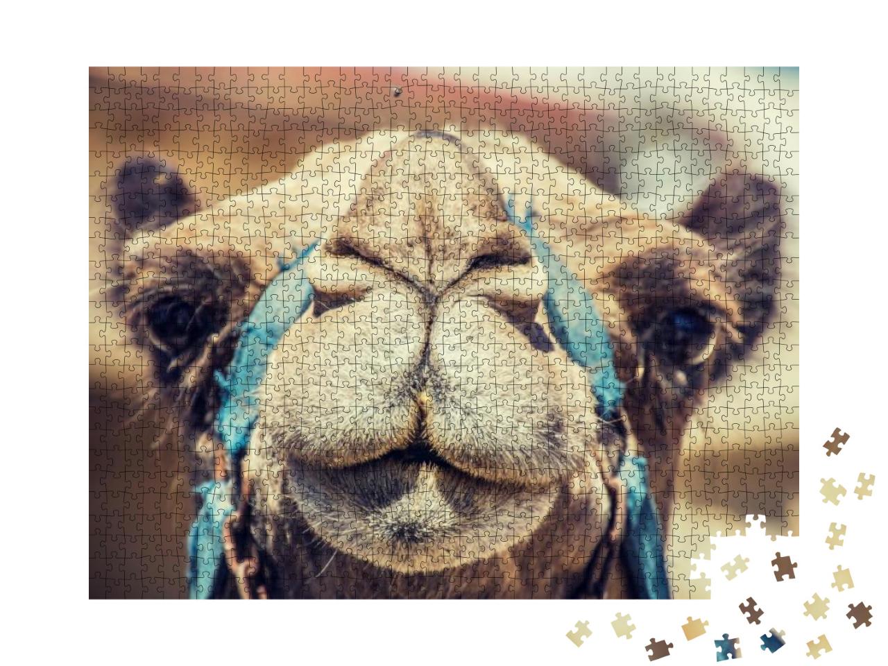 Camels Muzzle Just a Camel Looking Straight Into My Camer... Jigsaw Puzzle with 1000 pieces