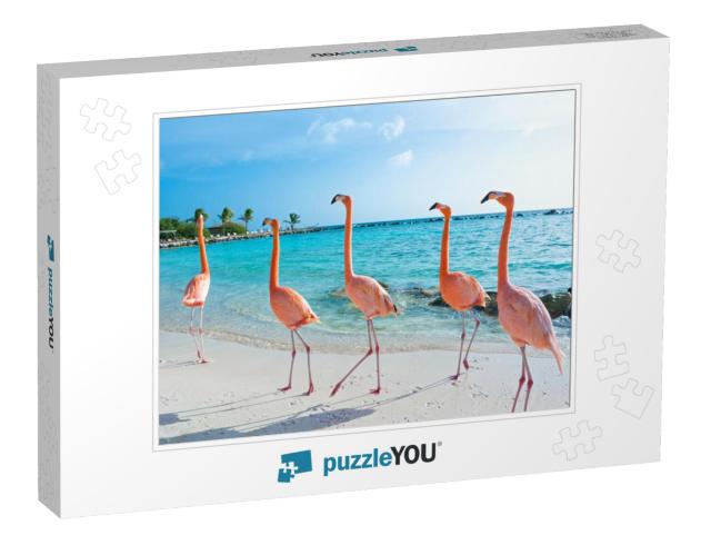 Pink Flamingo, Aruba Island... Jigsaw Puzzle