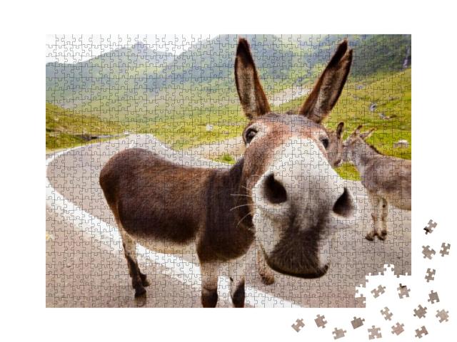 Funny Donkey on Transfagarasan Road in Romanian Mountains... Jigsaw Puzzle with 1000 pieces
