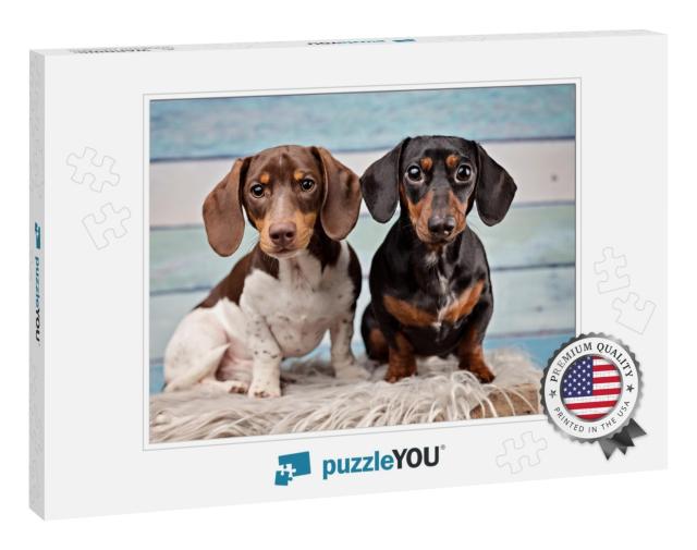 Portrait of Two Dachshunds on Blue Wood Background... Jigsaw Puzzle