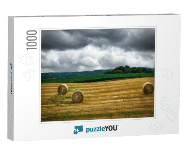 Rolled Hay Sitting on a Farm Near Manitowoc, Wi... Jigsaw Puzzle with 1000 pieces