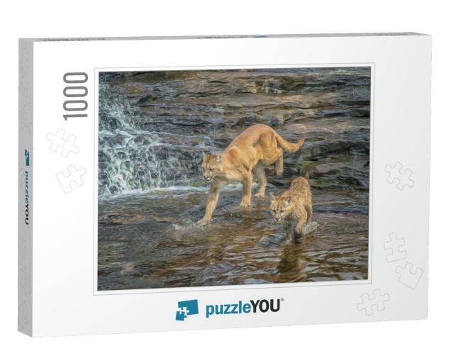 Cougar & Kit Crossing Minnesota River, Digital O... Jigsaw Puzzle with 1000 pieces