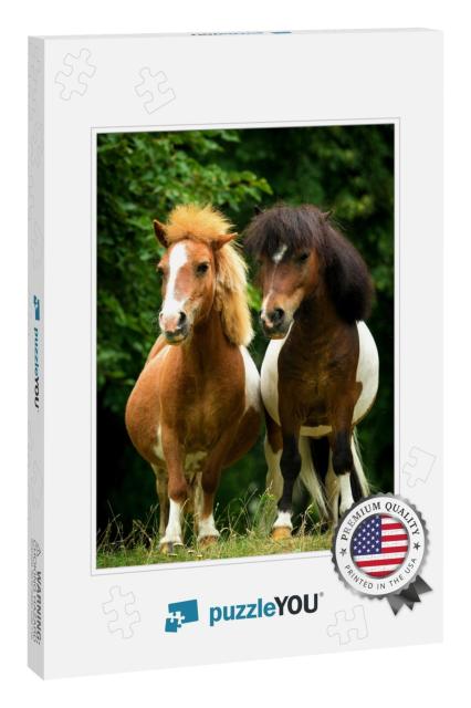 Two Little Painted Ponies Standing Close... Jigsaw Puzzle