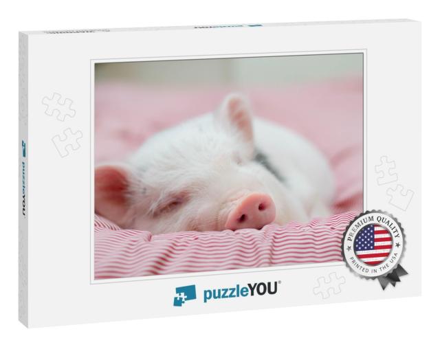 Cute Pig Sleeps on a Striped Blanket. Christmas Pig... Jigsaw Puzzle