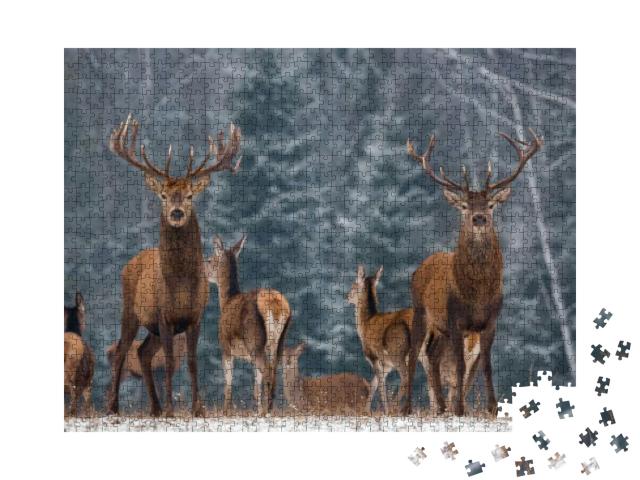 Twins. Winter Wildlife Landscape with Two Noble Deer Cerv... Jigsaw Puzzle with 1000 pieces