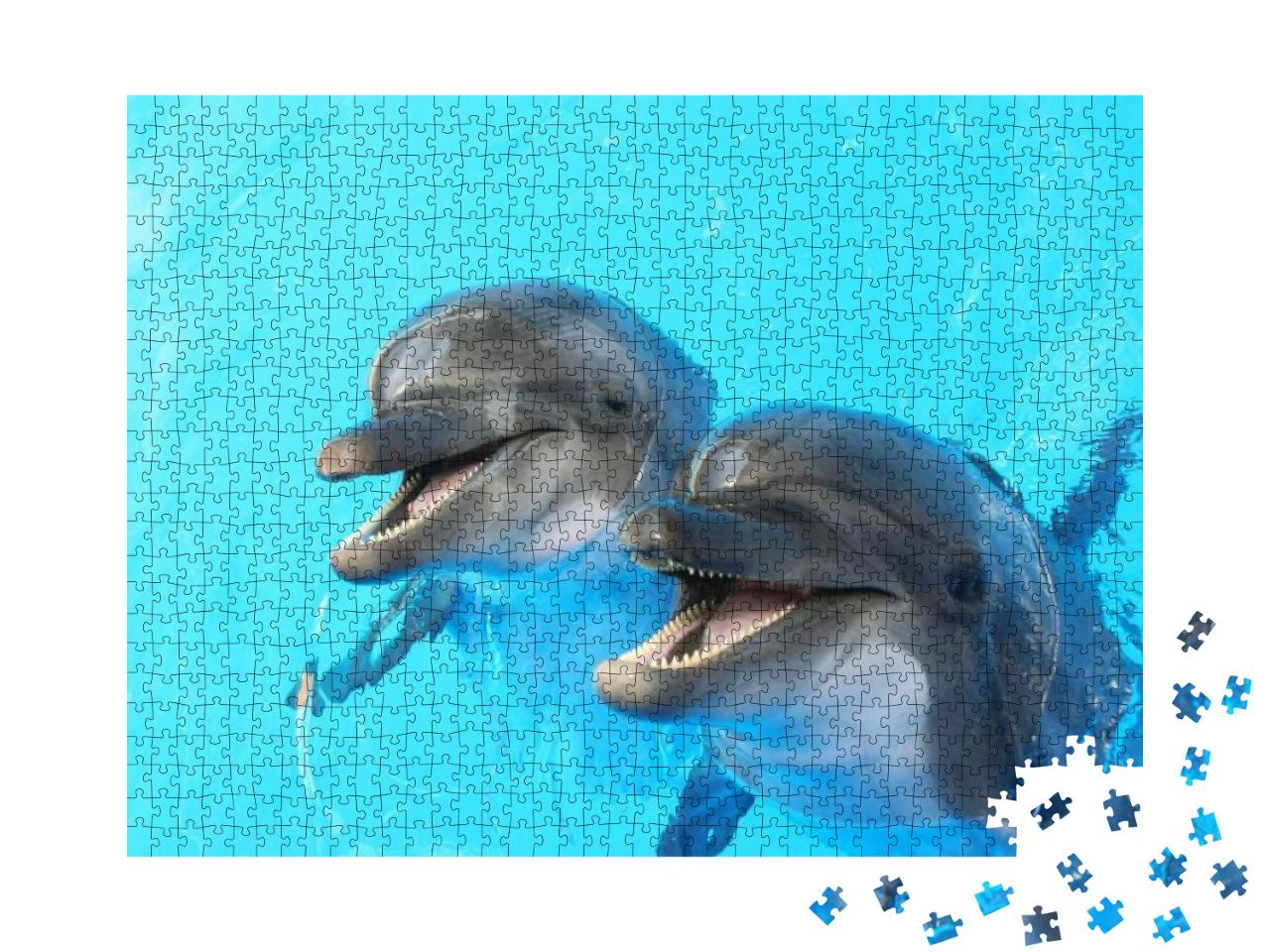 Two Dolphins Swim in the Pool... Jigsaw Puzzle with 1000 pieces
