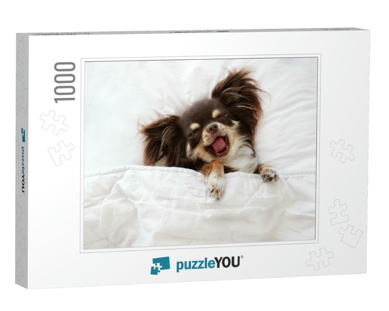 Funny Chihuahua Dog Sleeping on a Pillow in Bed... Jigsaw Puzzle with 1000 pieces