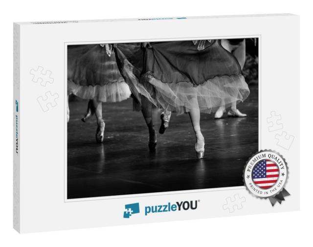 Swan Lake Ballet. Ballerina Feet on Stage. Black & White... Jigsaw Puzzle