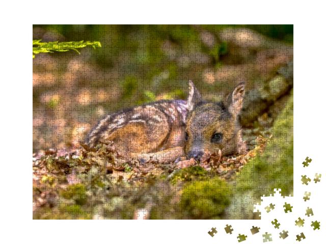 Adorable Roe Deer Fawn Capreolus Capreolus Resting in Rel... Jigsaw Puzzle with 1000 pieces