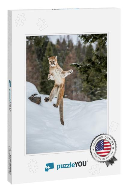 Mountain Lion Jumping Looking Funny... Jigsaw Puzzle