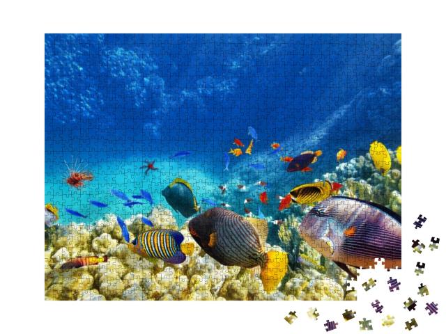 Wonderful & Beautiful Underwater World with Corals & Trop... Jigsaw Puzzle with 1000 pieces