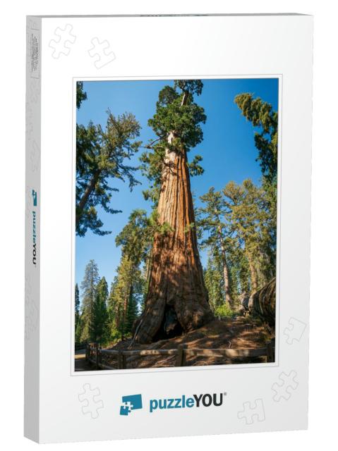 General Grant At Kings Canyon National Park, in Californi... Jigsaw Puzzle