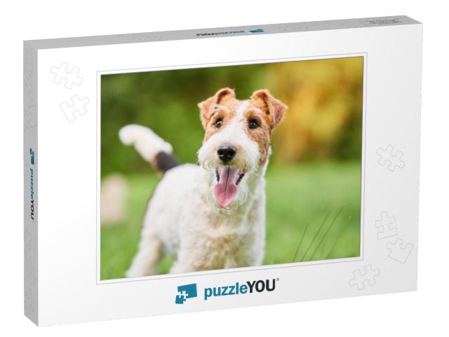 Close Up Shot of a Happy Cute Fox Terrier Dog in the Park... Jigsaw Puzzle