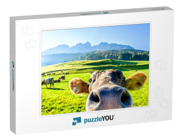 Funny Cow At the Kaisergebirge Mountain... Jigsaw Puzzle