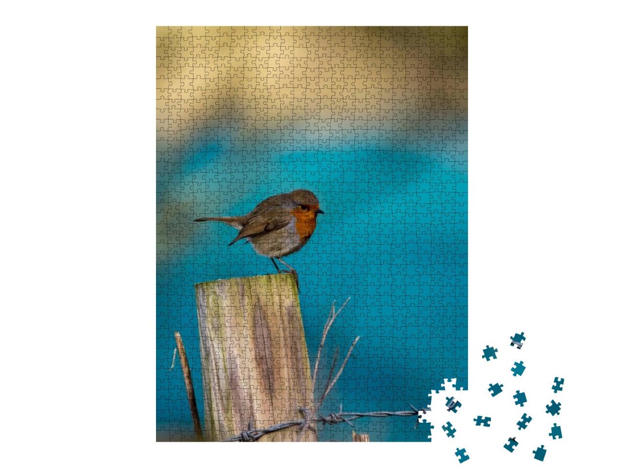 Robin on a Fence Post with Blue Background... Jigsaw Puzzle with 1000 pieces