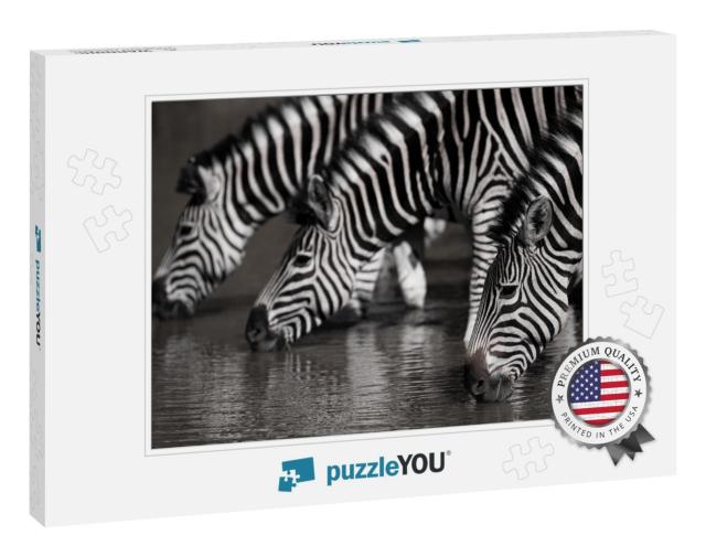 Southern African Plains Zebra Seen on a Safari in South A... Jigsaw Puzzle