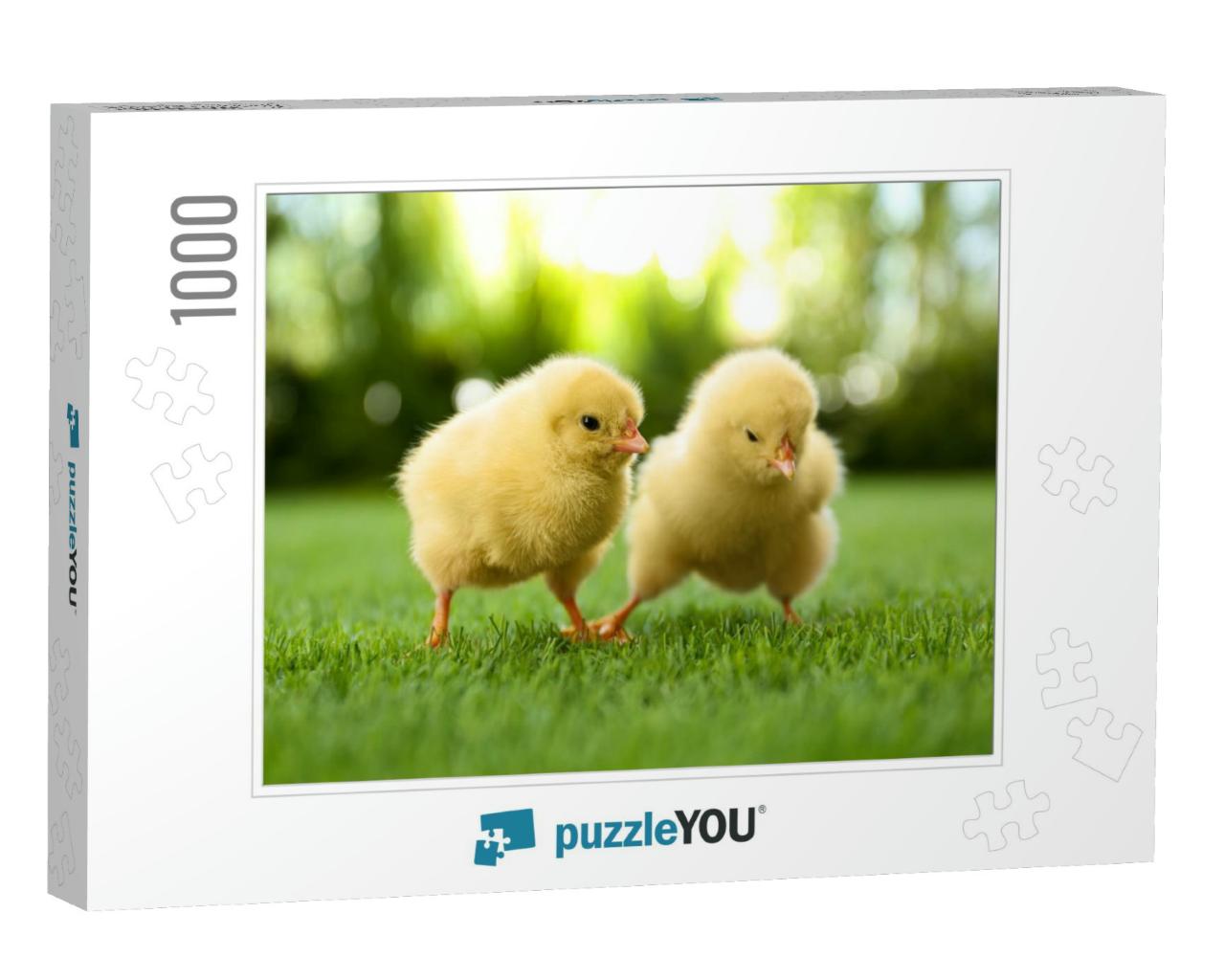 Cute Fluffy Baby Chickens Together on Green Grass Outdoor... Jigsaw Puzzle with 1000 pieces