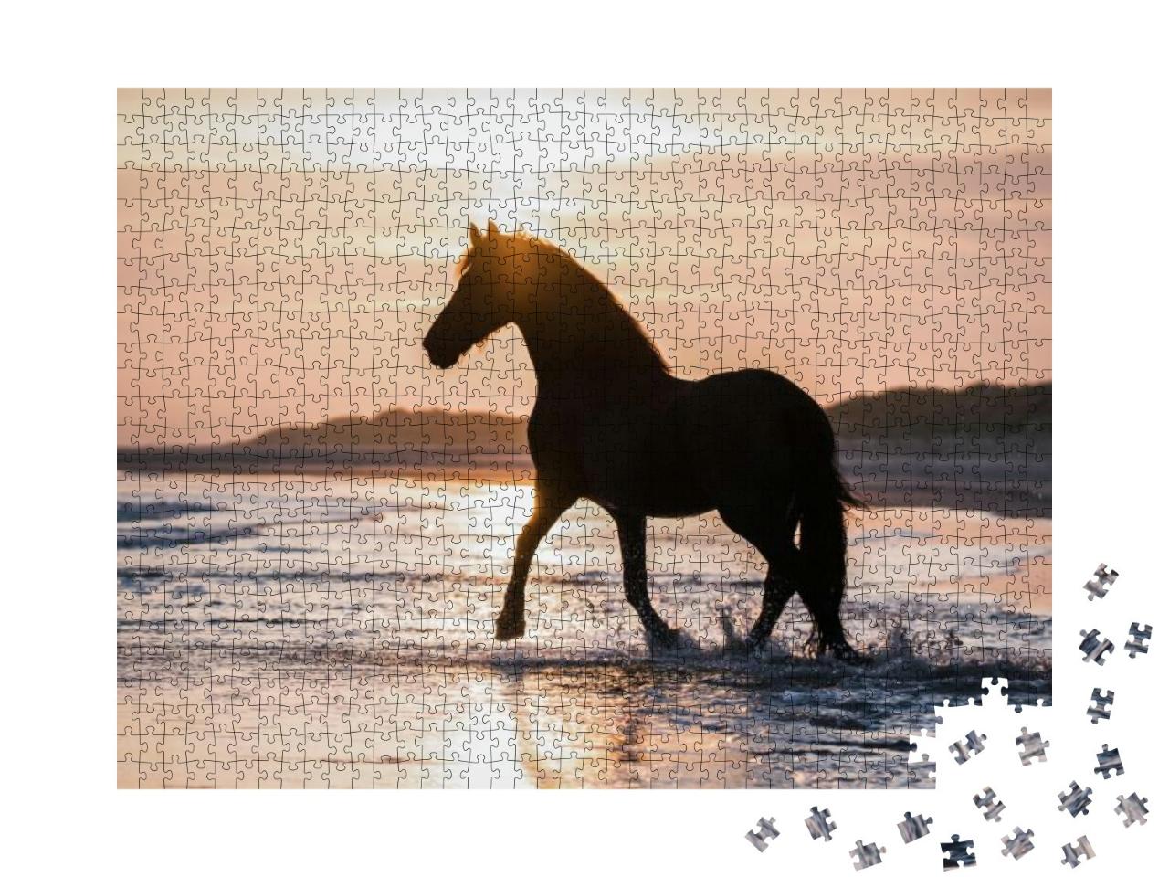 Black Horse Trotting Free At the Beach... Jigsaw Puzzle with 1000 pieces