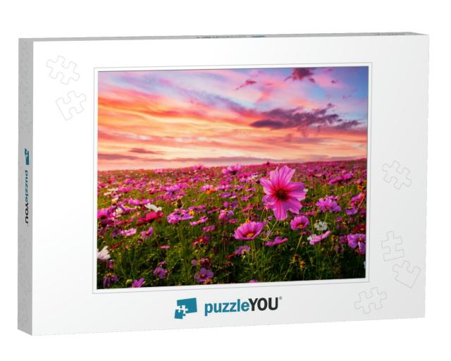 Beautiful & Amazing of Cosmos Flower Field Landscape in S... Jigsaw Puzzle