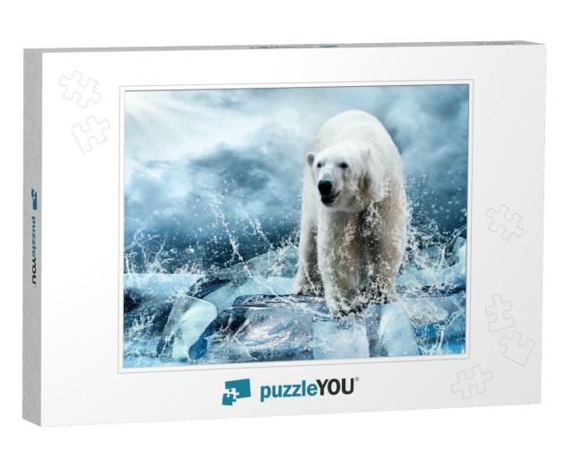 White Polar Bear Hunter on the Ice in Water Drops... Jigsaw Puzzle