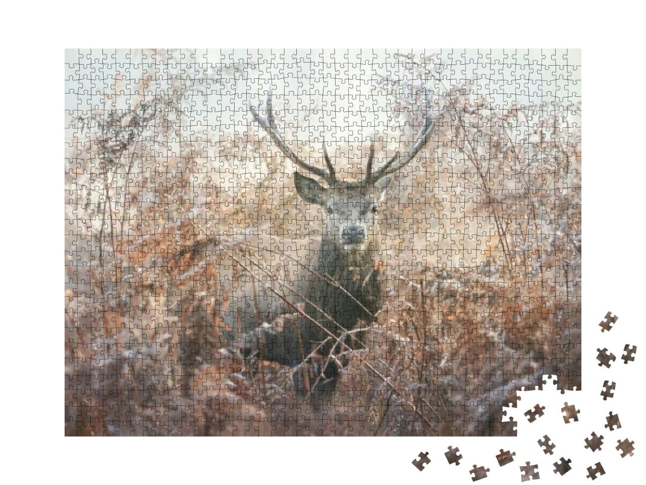 Portrait of a Red Deer Stag in Bracken on a Misty Autumn... Jigsaw Puzzle with 1000 pieces
