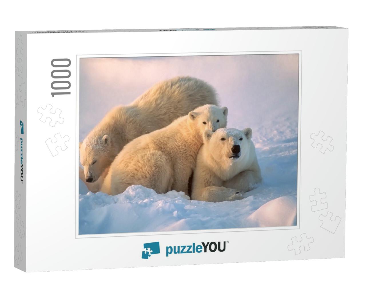 Polar Bear with Her Cubs, Together for Warmth & Protectio... Jigsaw Puzzle with 1000 pieces