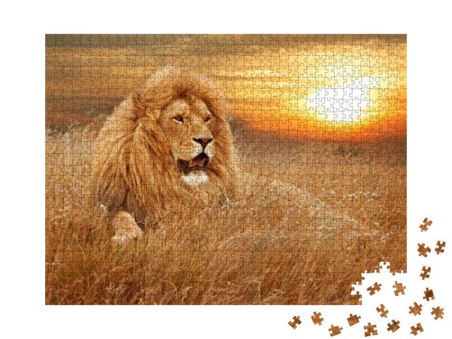 Picture of Lions in Grass... Jigsaw Puzzle with 1000 pieces