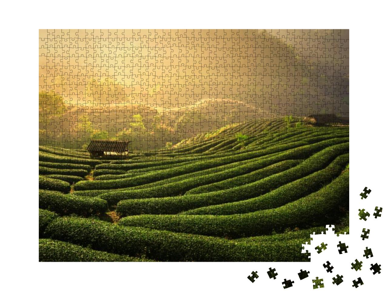 The Tea Plantations Background, Tea Plantations in Mornin... Jigsaw Puzzle with 1000 pieces